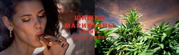 PSILOCYBIN Балабаново