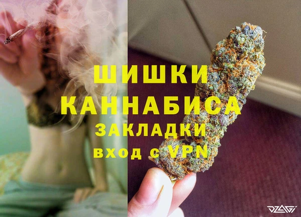 PSILOCYBIN Балабаново