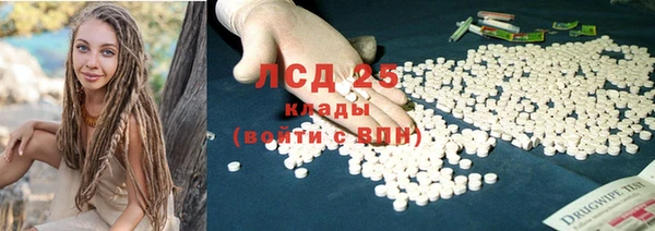 PSILOCYBIN Балабаново