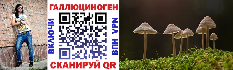 Галлюциногенные грибы GOLDEN TEACHER  Городище 
